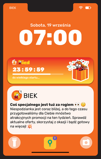 Biedronka