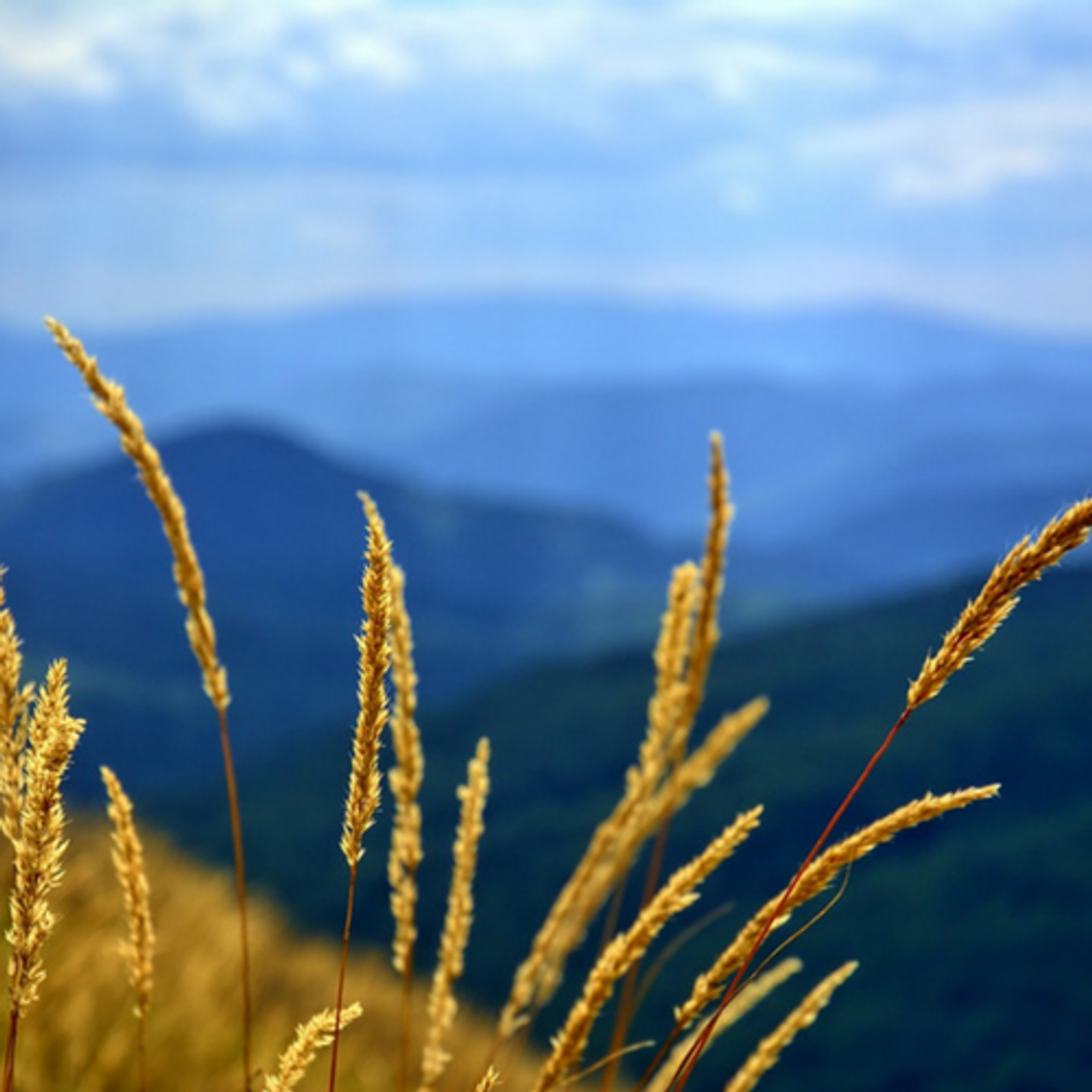 Wakacje w górach - Bieszczady