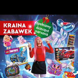 Biedronka - Kraina Zabawek 2025