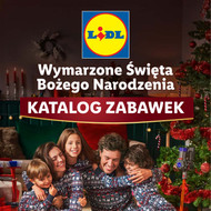 Lidl - Katalog Zabawki