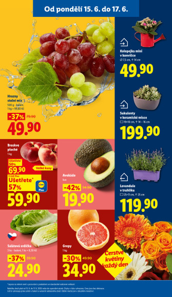 Lidl.cz