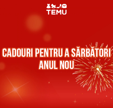 TEMU - Cadouri pentru a sărbători Anul Nou