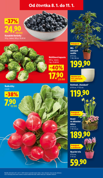 Lidl.cz
