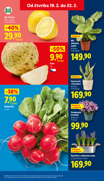 Lidl.cz
