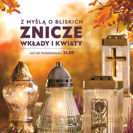Biedronka - Znicze