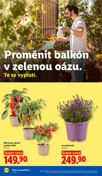 Lidl.cz