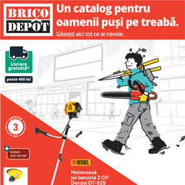 Brico Depot