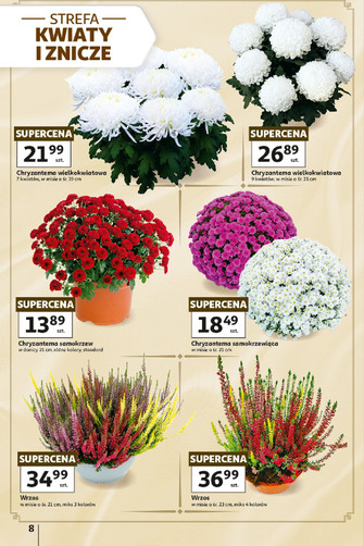 Auchan
