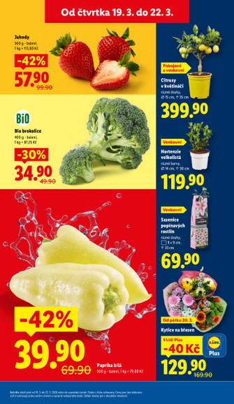 Lidl.cz
