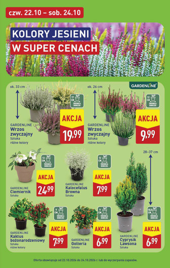 ALDI