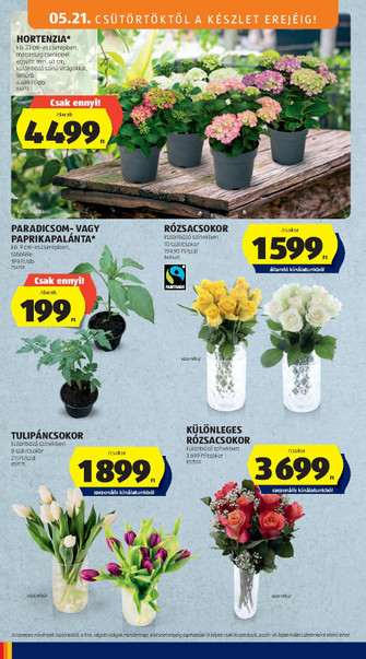 Aldi