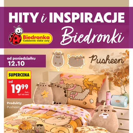 Biedronka - Hity i inspiracje
