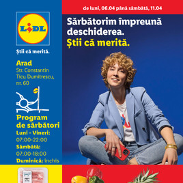 Lidl - Arad