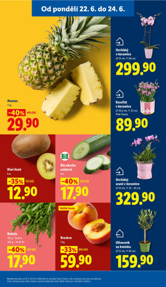 Lidl.cz