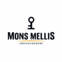 MonsMellis