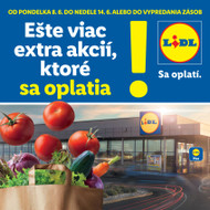Lidl - Trnava
