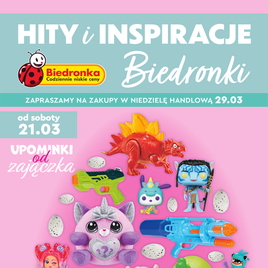 Biedronka - Hity i inspiracje