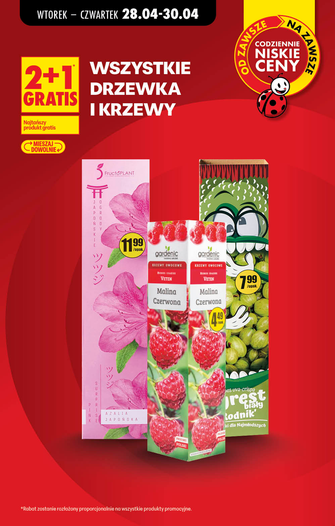 Biedronka