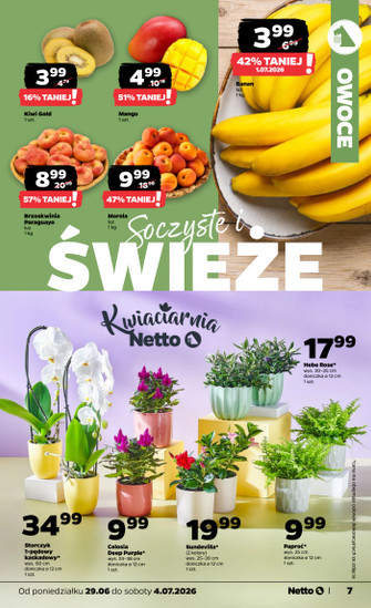 Netto
