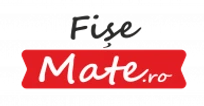FișeMate