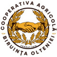 BIRUINȚA OLTENIEI
