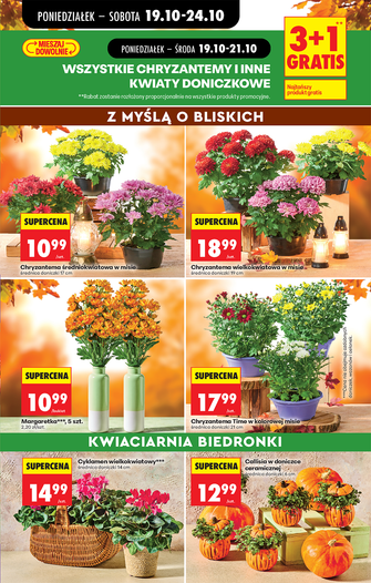Biedronka