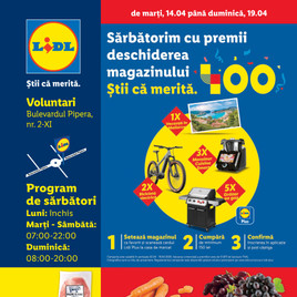 Lidl - Voluntari