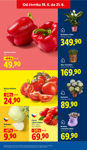 Lidl.cz