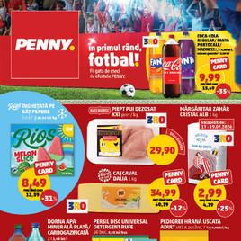 PENNY - Catalog Național 15