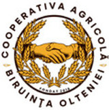BIRUINȚA OLTENIEI