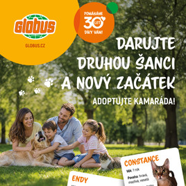 Globus - Adoptujte kamaráda