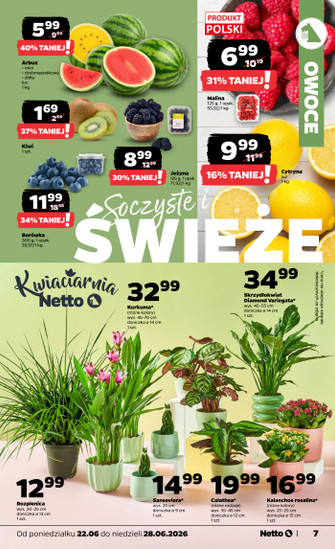Netto