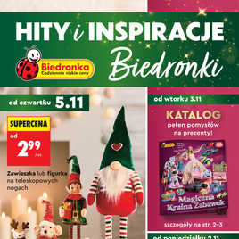 Biedronka - Hity i inspiracje