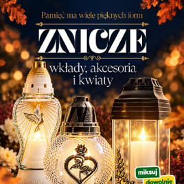 Stokrotka - Znicze