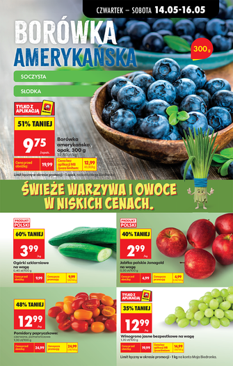 Biedronka