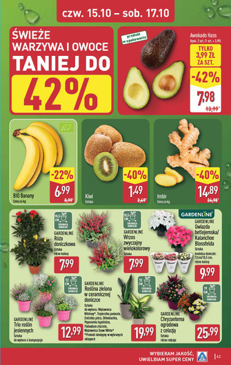 ALDI