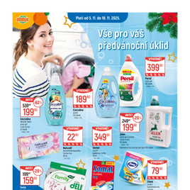 Globus - Vše pro váš předvánoční úklid