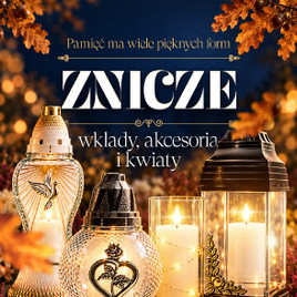 Stokrotka - Znicze