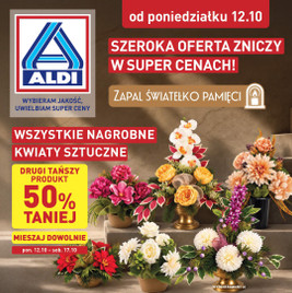 ALDI - Znicze i stroiki